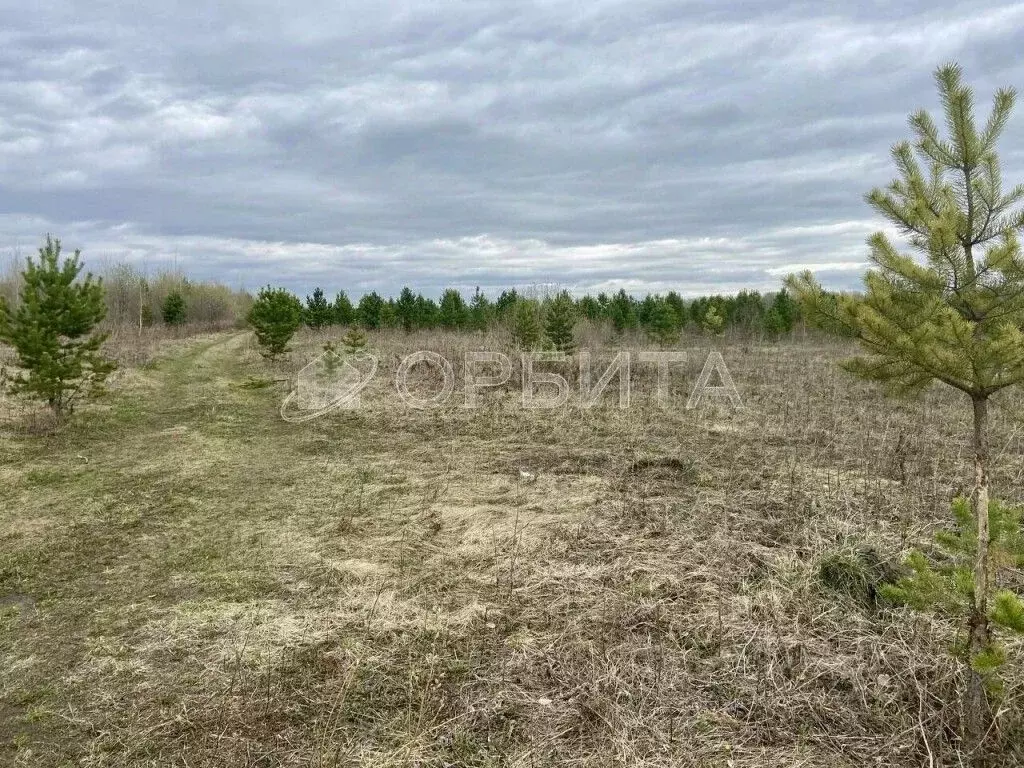 Участок в Тюменская область, Тюменский муниципальный округ, с. ... - Фото 1