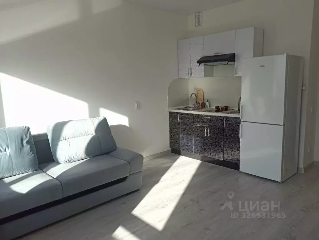 Студия Ленинградская область, Всеволожский район, Заневское городское ... - Фото 1