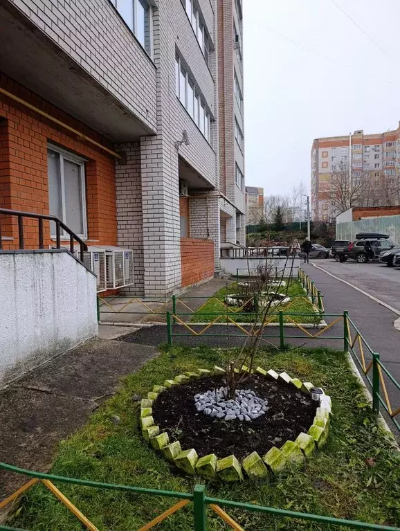 2-к кв. Владимирская область, Владимир ул. Мира, 15б (54.0 м) - Фото 2