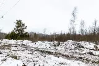 Участок в Тюменская область, Тюменский муниципальный округ, с. Борки ... - Фото 1