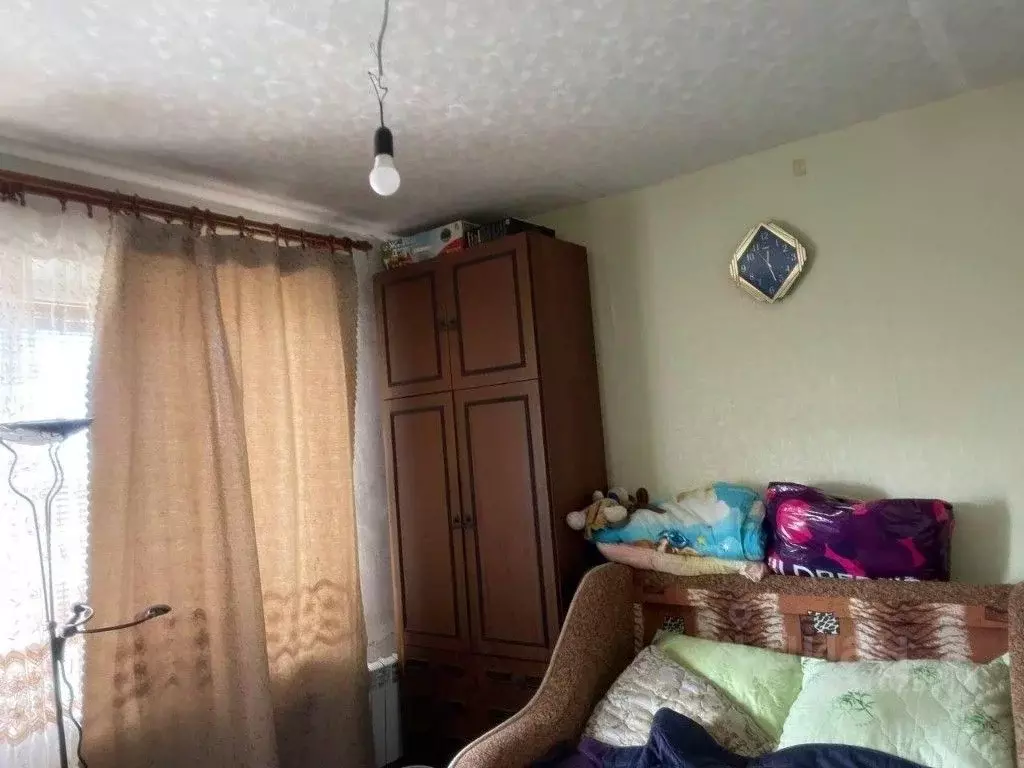 1-к кв. Рязанская область, Спасский муниципальный округ, с. Выжелес ... - Фото 1