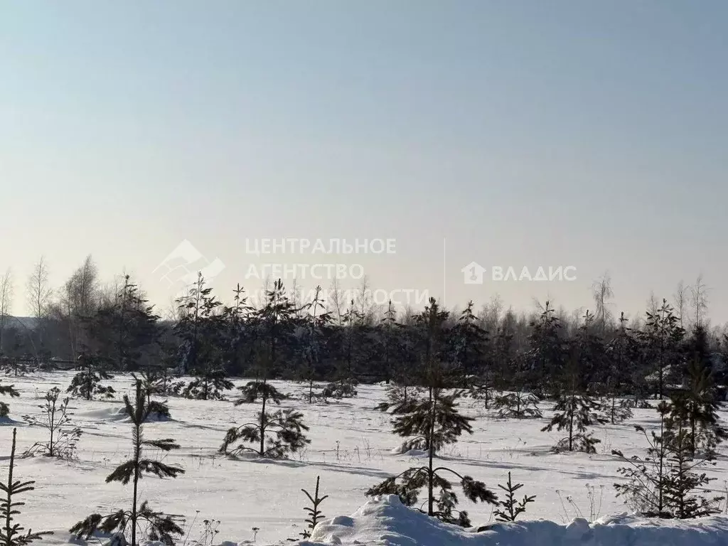 Участок в Рязанская область, Рязанский муниципальный округ, д. ... - Фото 1