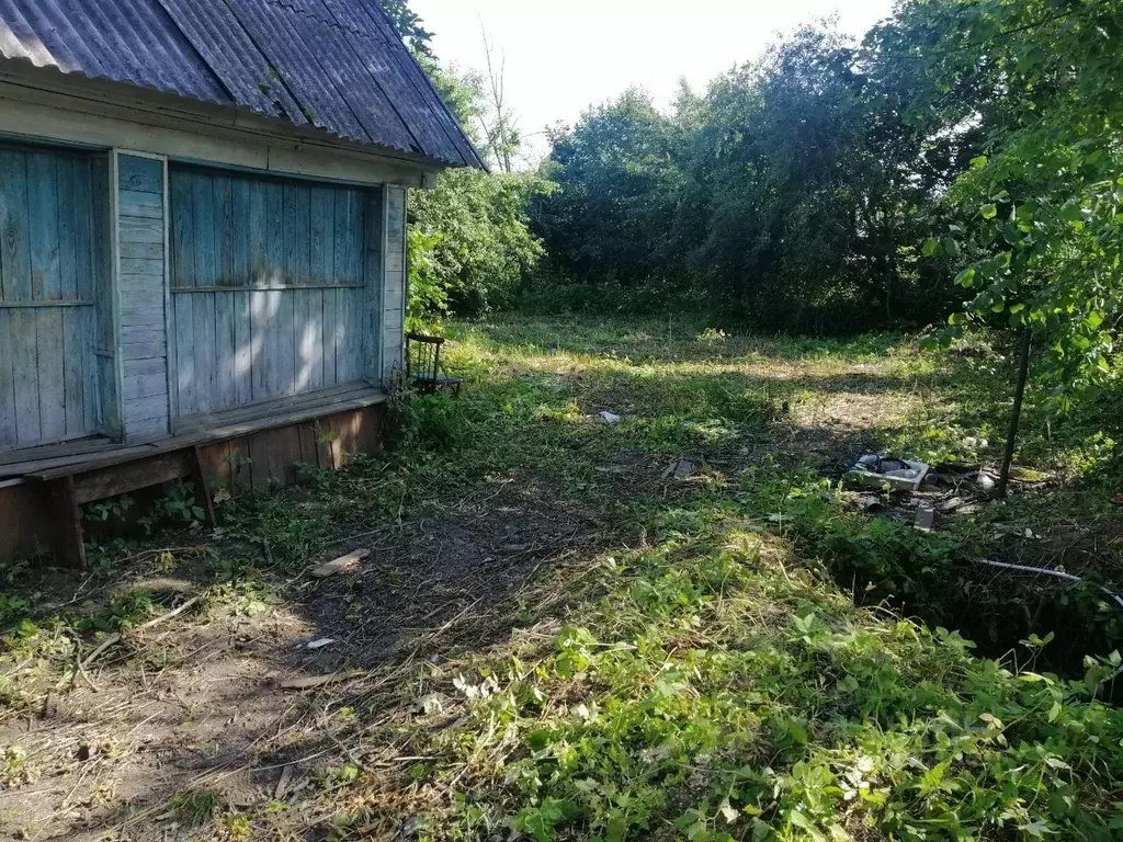 Участок в Нижегородская область, Чкаловск муниципальный округ, с. ... - Фото 1