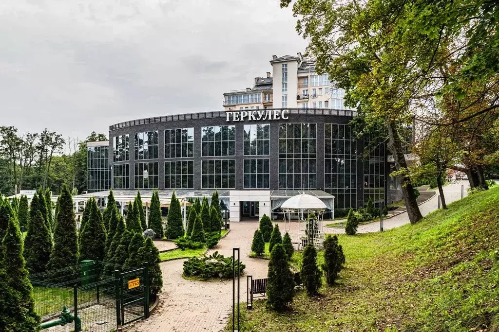 Студия Калининградская область, Калининград просп. Мира, 136 (18.0 м) - Фото 0