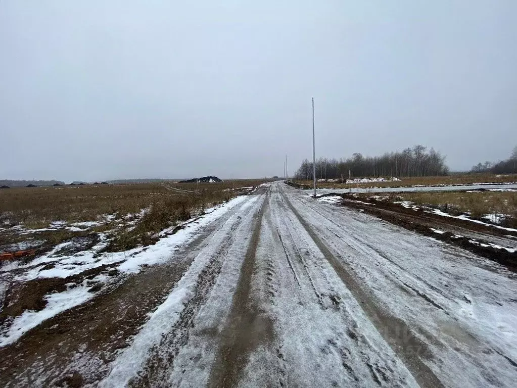 Участок в Тюменская область, Тюменский район, Новокаменский кп ул. ... - Фото 2