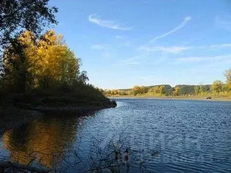 Участок в Владимирская область, Ковровский муниципальный округ, ... - Фото 1
