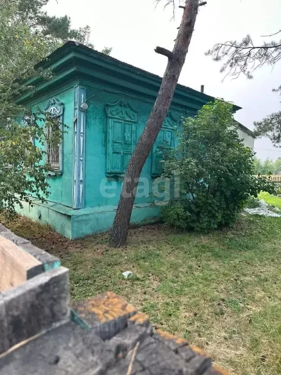Участок в Амурская область, Ивановский муниципальный округ, с. ... - Фото 0