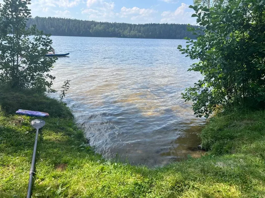 Участок в Ленинградская область, Приозерский район, Громовское с/пос, ... - Фото 0