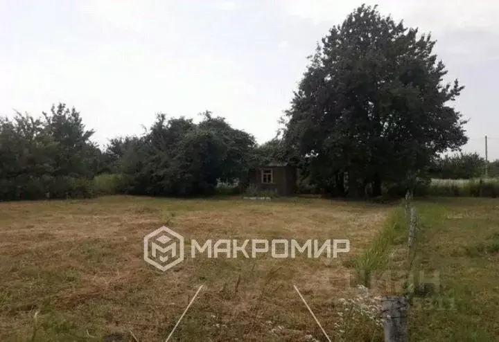 Участок в Брянская область, Брянский район, Добрунское с/пос, д. ... - Фото 1