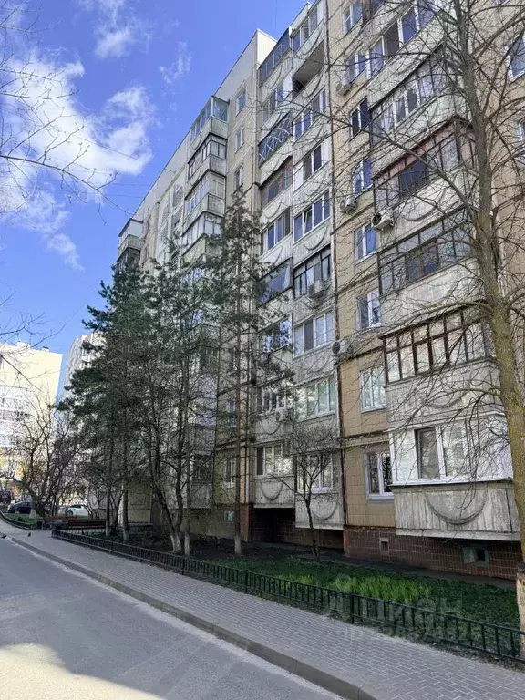 1-к кв. Белгородская область, Белгород ул. Губкина, 42б (34.0 м) - Фото 1