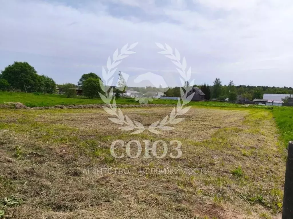 Участок в Калужская область, Малоярославецкий район, Детчино с/пос, д. ... - Фото 2