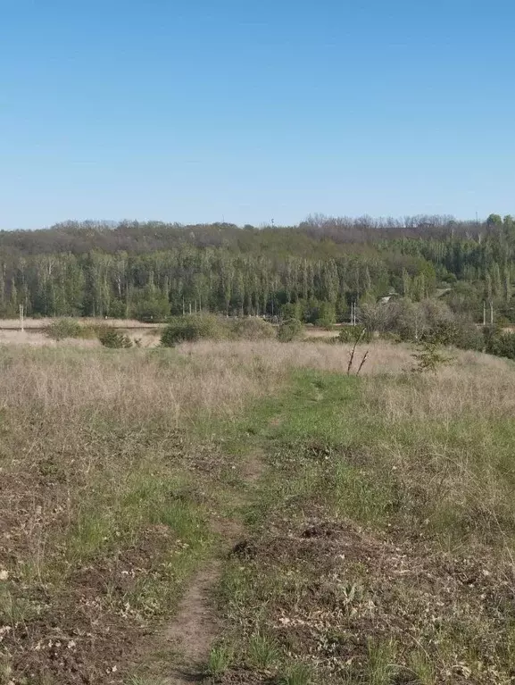 Участок в Белгородская область, Белгород Дальняя Садовая ул. (10.0 ... - Фото 0