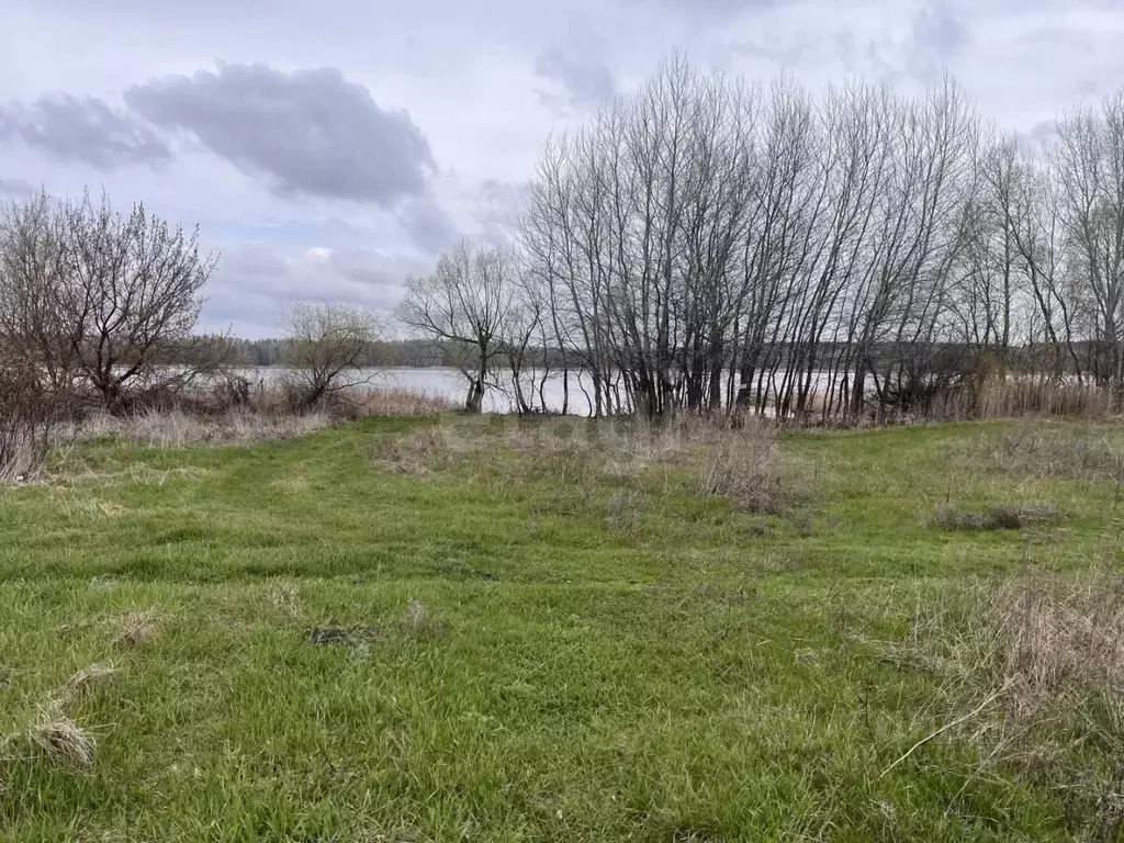 Участок в Белгородская область, Старый Оскол ул. Прядченко (29.72 ... - Фото 1
