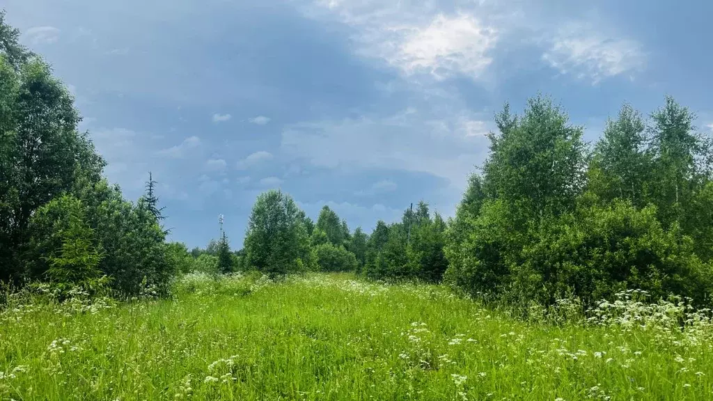 Участок в Московская область, Дмитровский муниципальный округ, д. ... - Фото 1