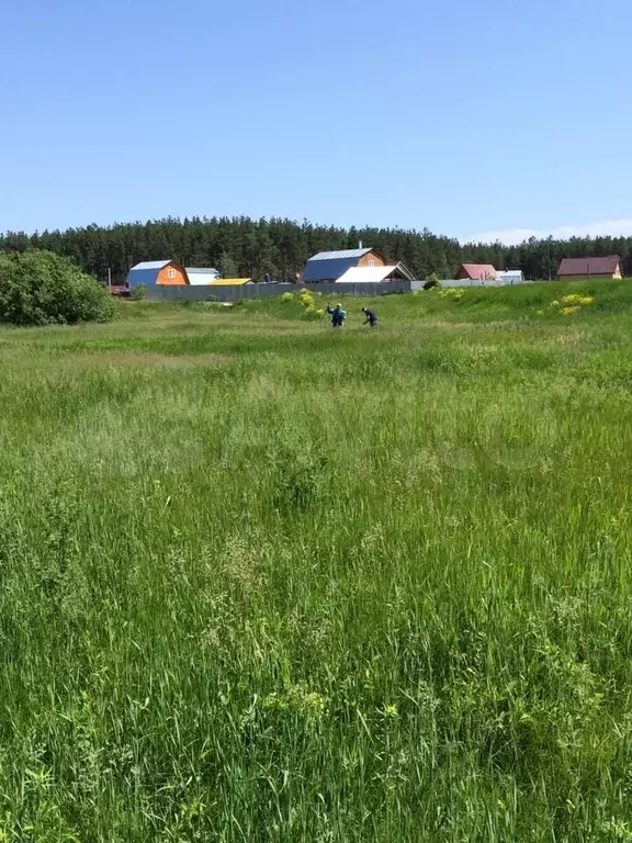 Купить Землю В Агропустыни Рязанского Района