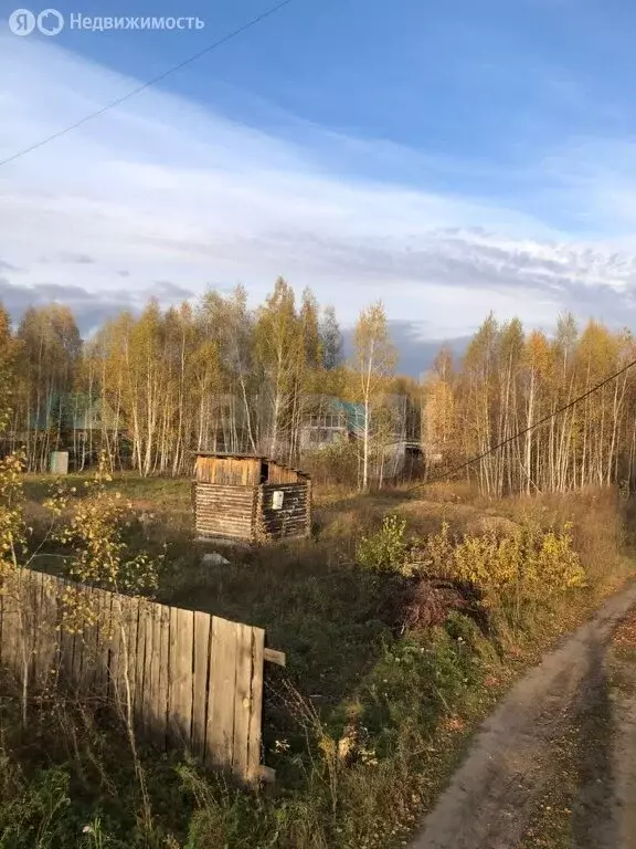 Участок в Курганская область, Кетовский муниципальный округ, деревня ... - Фото 2