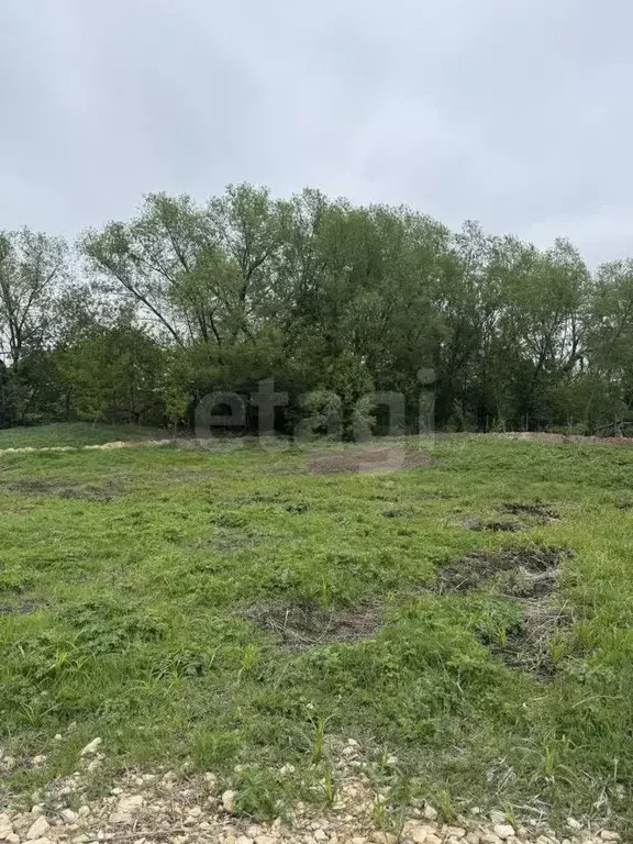 Участок в Тульская область, Тула городской округ, д. Малевка ул. ... - Фото 2