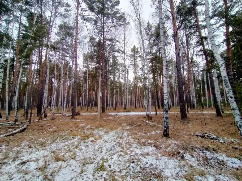 Участок в Свердловская область, Белоярский муниципальный округ, с. ... - Фото 2