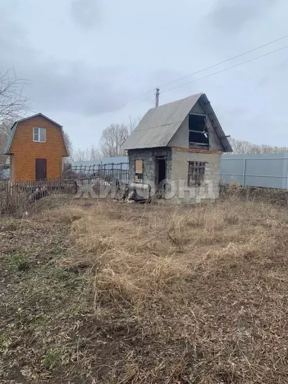 Дом в Новосибирская область, Бердск Светлая ул. (15 м) - Фото 2