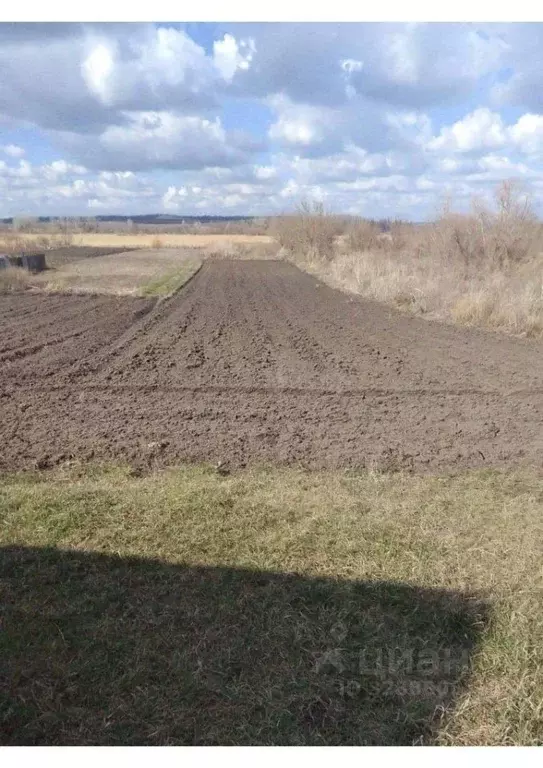 Участок в Воронежская область, Ольховатский район, Марьевское с/пос, ... - Фото 1