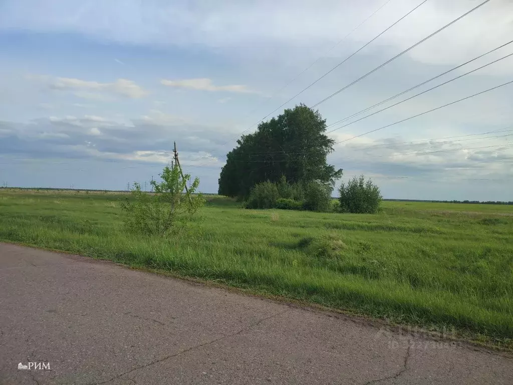 Участок в Самарская область, Красноярский район, Большая Каменка ... - Фото 2