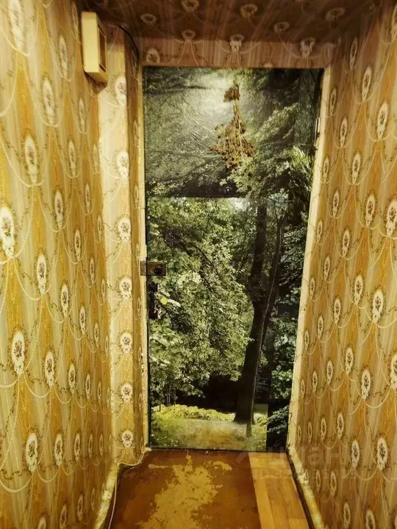 2-к кв. Московская область, Серебряные Пруды муниципальный округ, с. ... - Фото 2