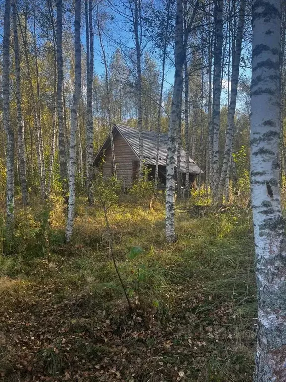 Участок в Московская область, Шаховская городской округ, д. Щемелинки  ... - Фото 0