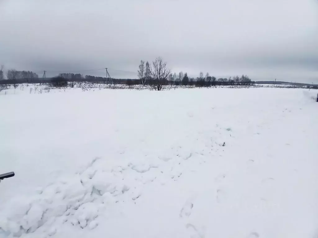 Участок в Нижегородская область, Богородский муниципальный округ, д. ... - Фото 1