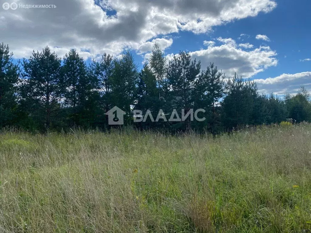 Участок в Вологодский муниципальный округ, деревня Палагино (12.5 м) - Фото 1