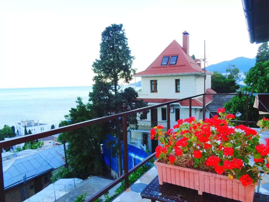 Студия Крым, Ялта ул. Поликуровская, 21 (22.0 м) - Фото 0