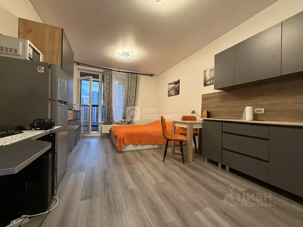 Студия Санкт-Петербург Дальневосточный просп., 19к1 (24.6 м) - Фото 1