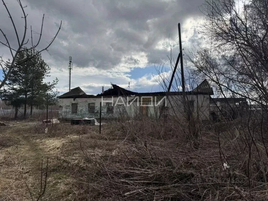 Участок в Рязанская область, Рязанский муниципальный округ, с. ... - Фото 2