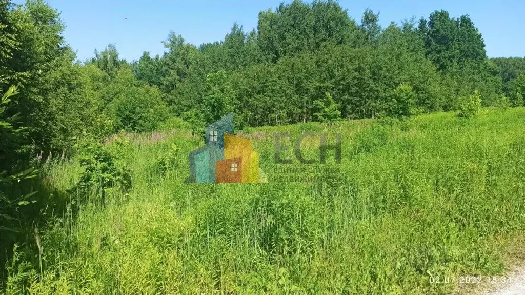 Участок в Тульская область, Алексин городской округ, д. Александровка  ... - Фото 1