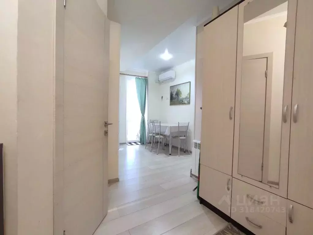 2-к кв. Краснодарский край, Сочи ул. Лазарева, 106 (59.0 м) - Фото 1