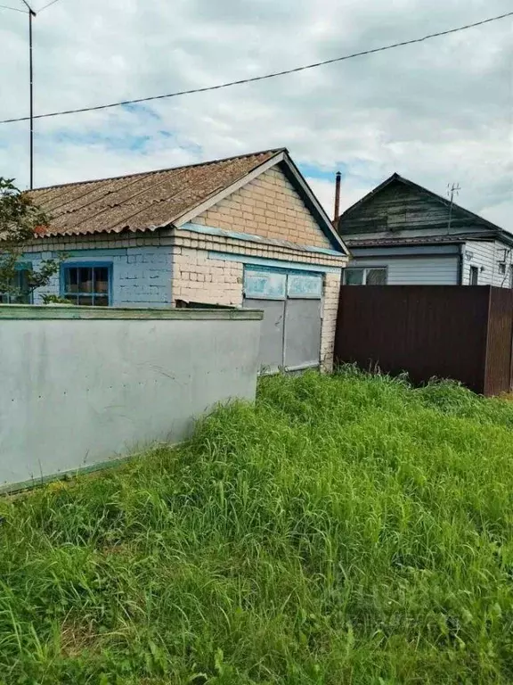 Дом в Амурская область, с. Ивановка ул. Высокая, 12 (36 м) - Фото 2