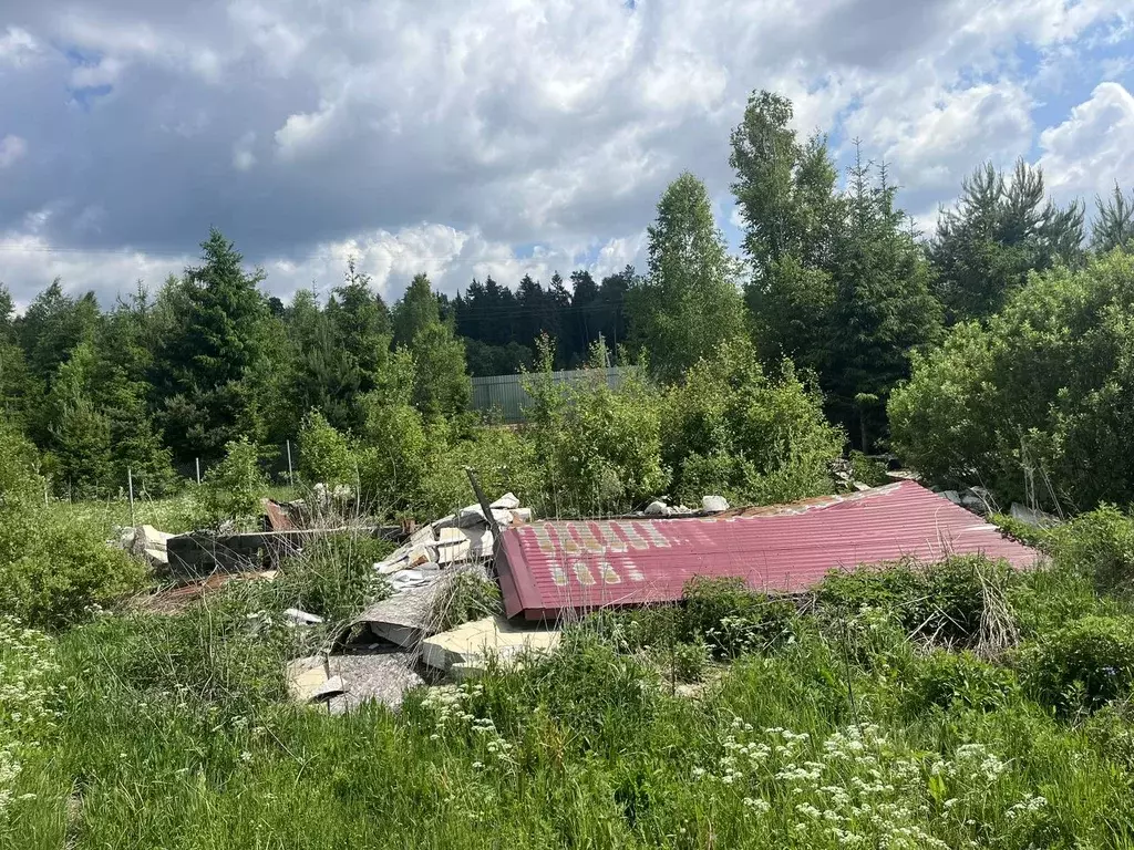 Участок в Владимирская область, Александровский район, Каринское ... - Фото 0