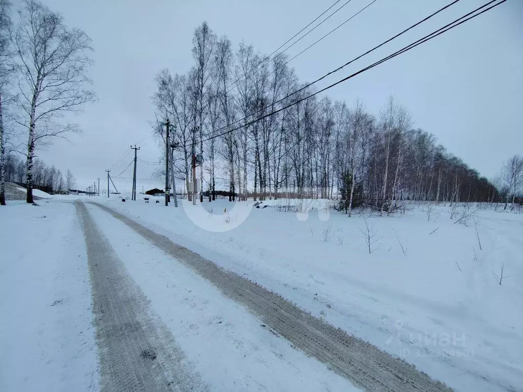 Участок в Татарстан, Зеленодольский район, Бишнинское с/пос, д. ... - Фото 0