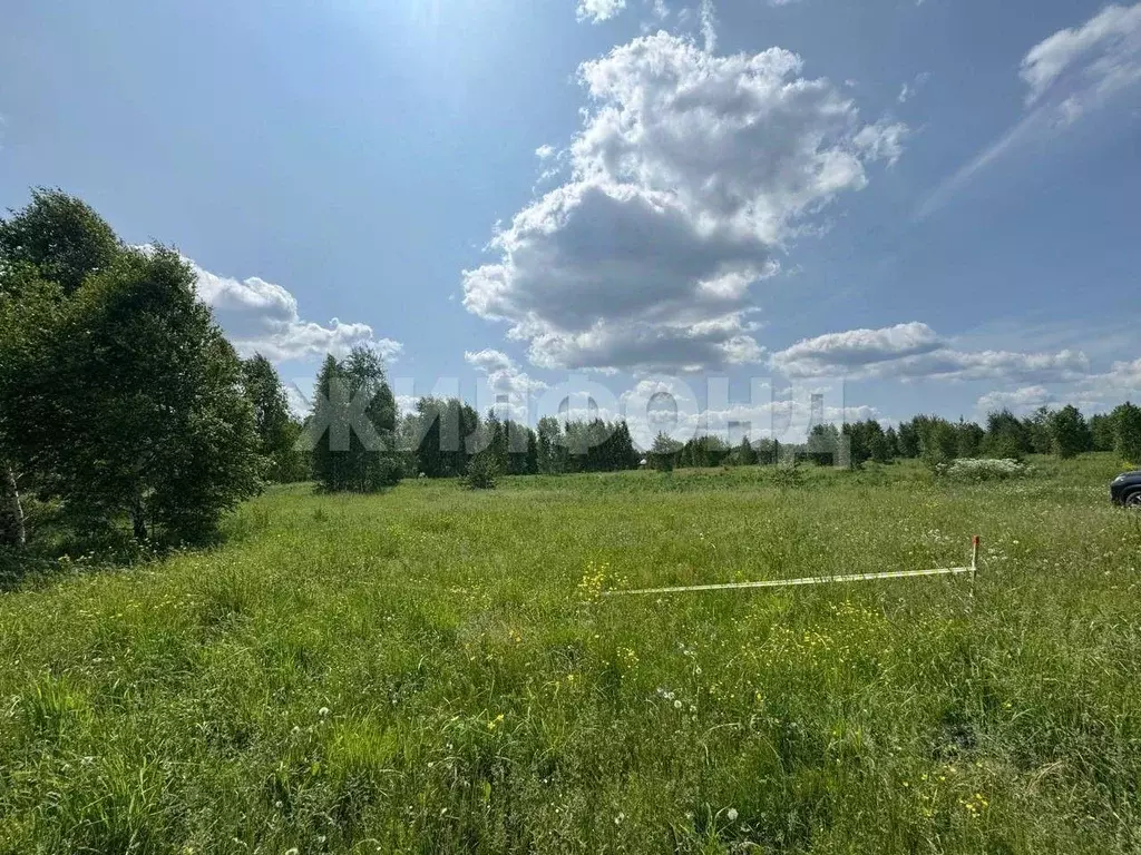 Участок в Новосибирская область, Новосибирский район, Каменский ... - Фото 1