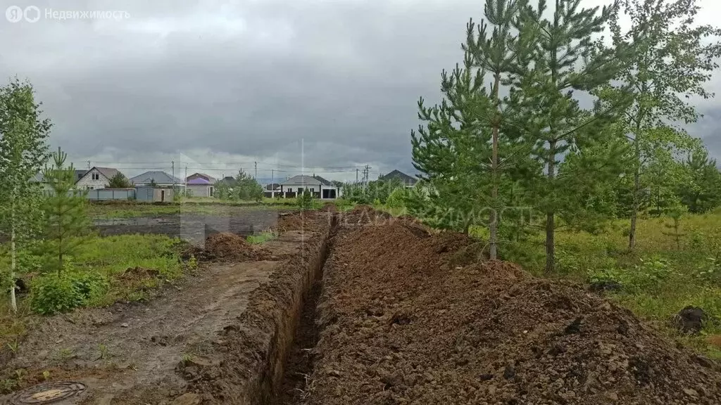Участок в Тюмень, ДНП Звенящие Кедры Тюмени, Центральная улица (9.7 м) - Фото 0