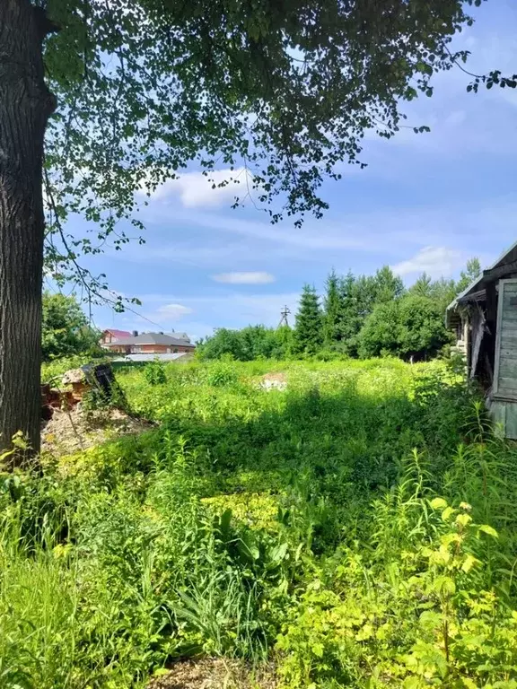 Участок в Нижегородская область, Нижний Новгород д. Черемисское, ул. ... - Фото 0