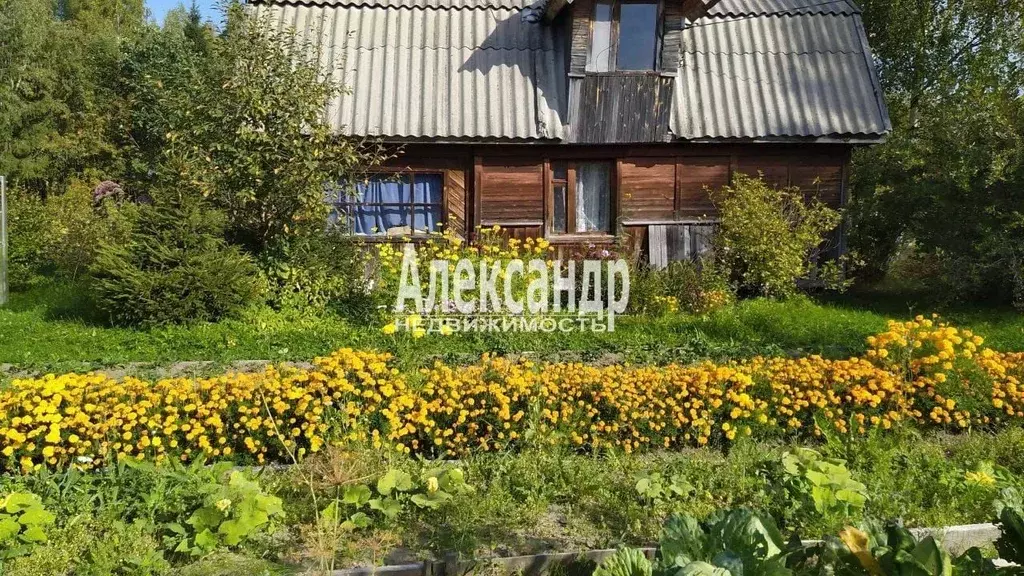 Дом в Ленинградская область, Лодейнопольский район, Янегское с/пос, ... - Фото 1