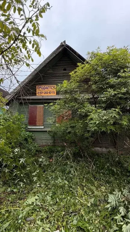 Дом в Новгородская область, Валдайский муниципальный район, Едровское ... - Фото 1