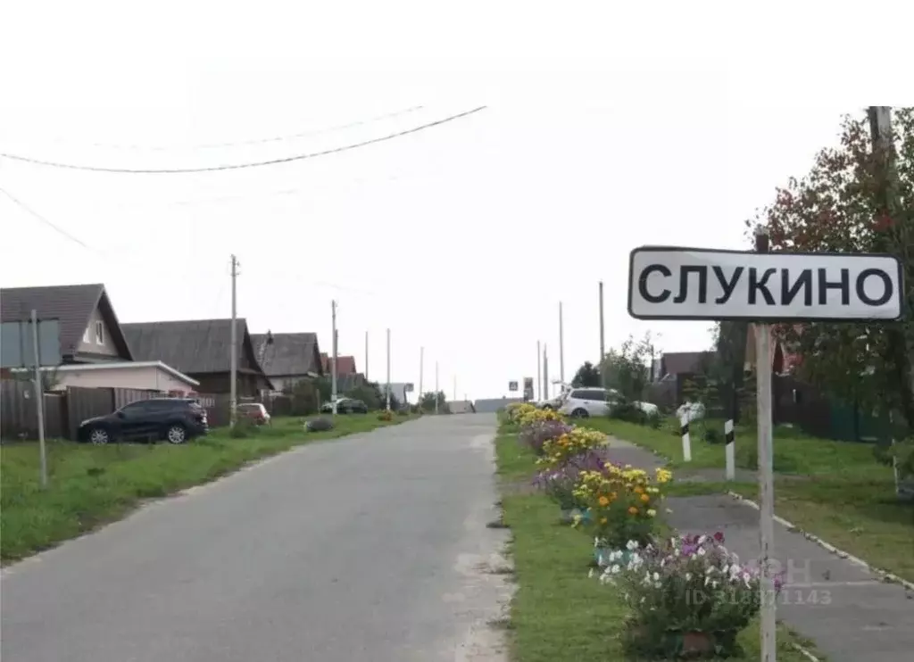 Участок в Владимирская область, Гороховецкий муниципальный округ, д. ... - Фото 1