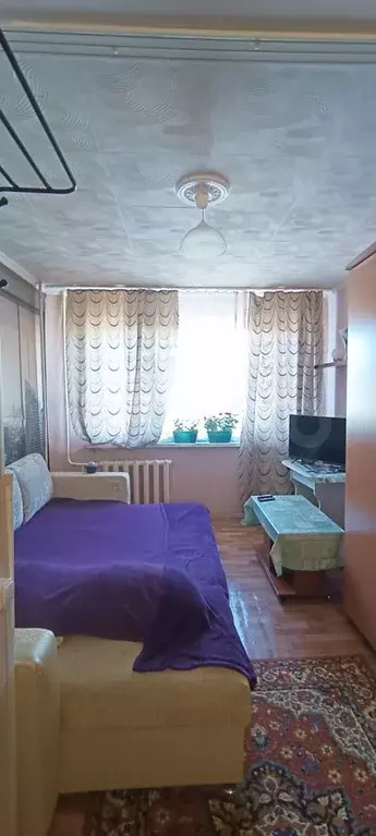 Квартира-студия, 16,9 м, 4/5 эт. - Фото 1