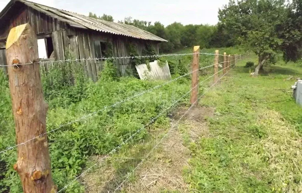 Участок в Амурская область, Ивановский муниципальный округ, с. ... - Фото 1