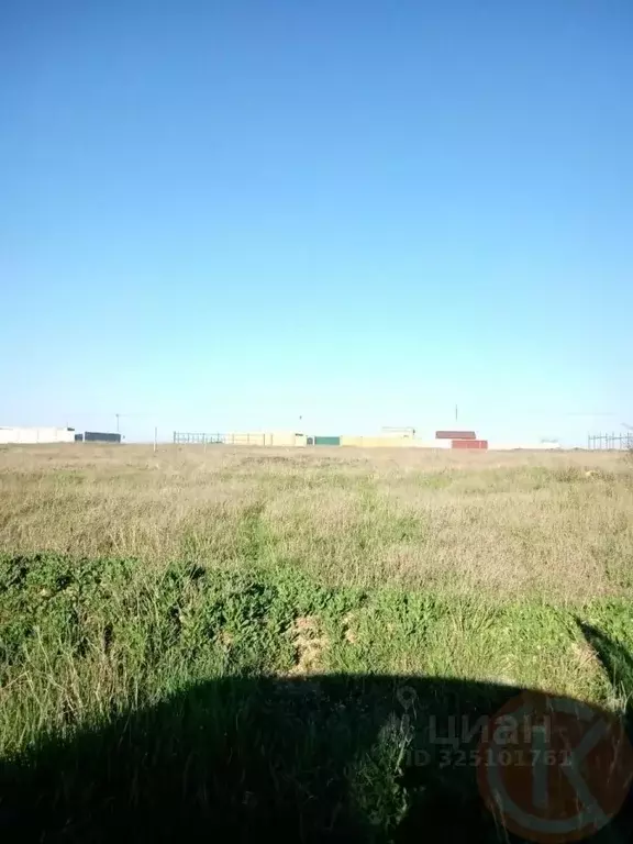 Участок в Крым, Сакский район, Молочненское с/пос, с. Витино  (6.0 ... - Фото 2