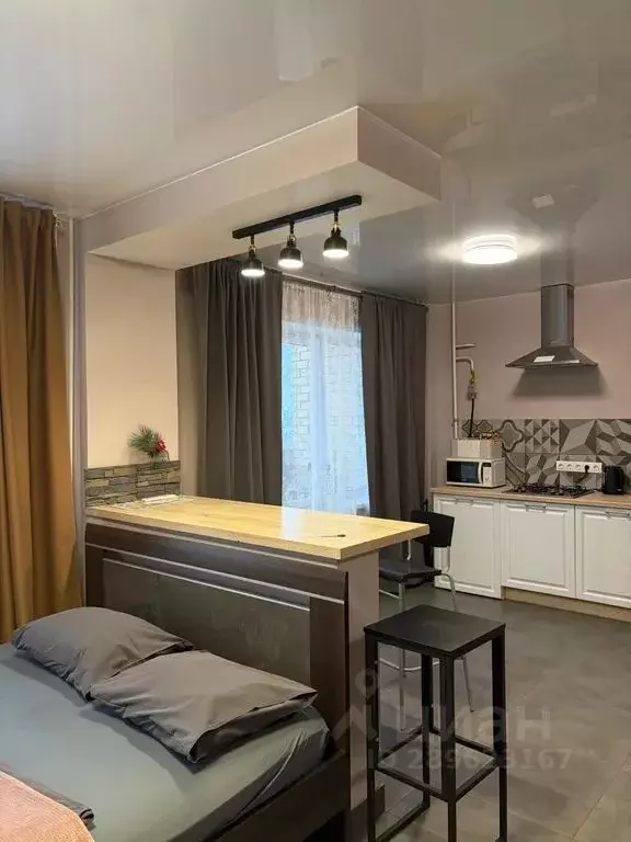 Студия Псковская область, Псковский район, Завеличенская волость, д. ... - Фото 1