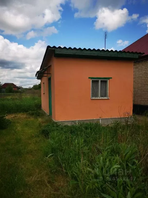 Дом в Воронежская область, Верхнехавский район, с. Углянец ул. ... - Фото 1