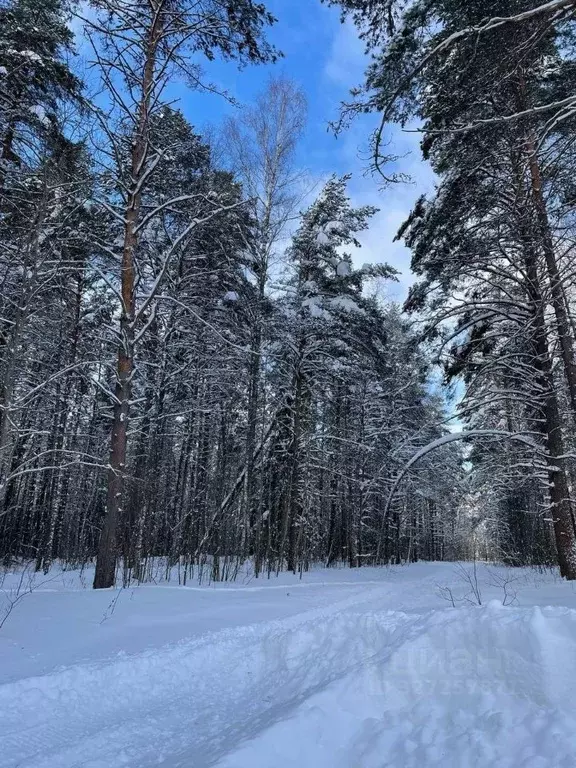 Участок в Ярославская область, Рыбинский муниципальный округ, ... - Фото 2