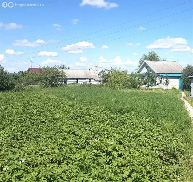 Дом в Балтаси, улица И. Саляхова, 10 (51.3 м) - Фото 1